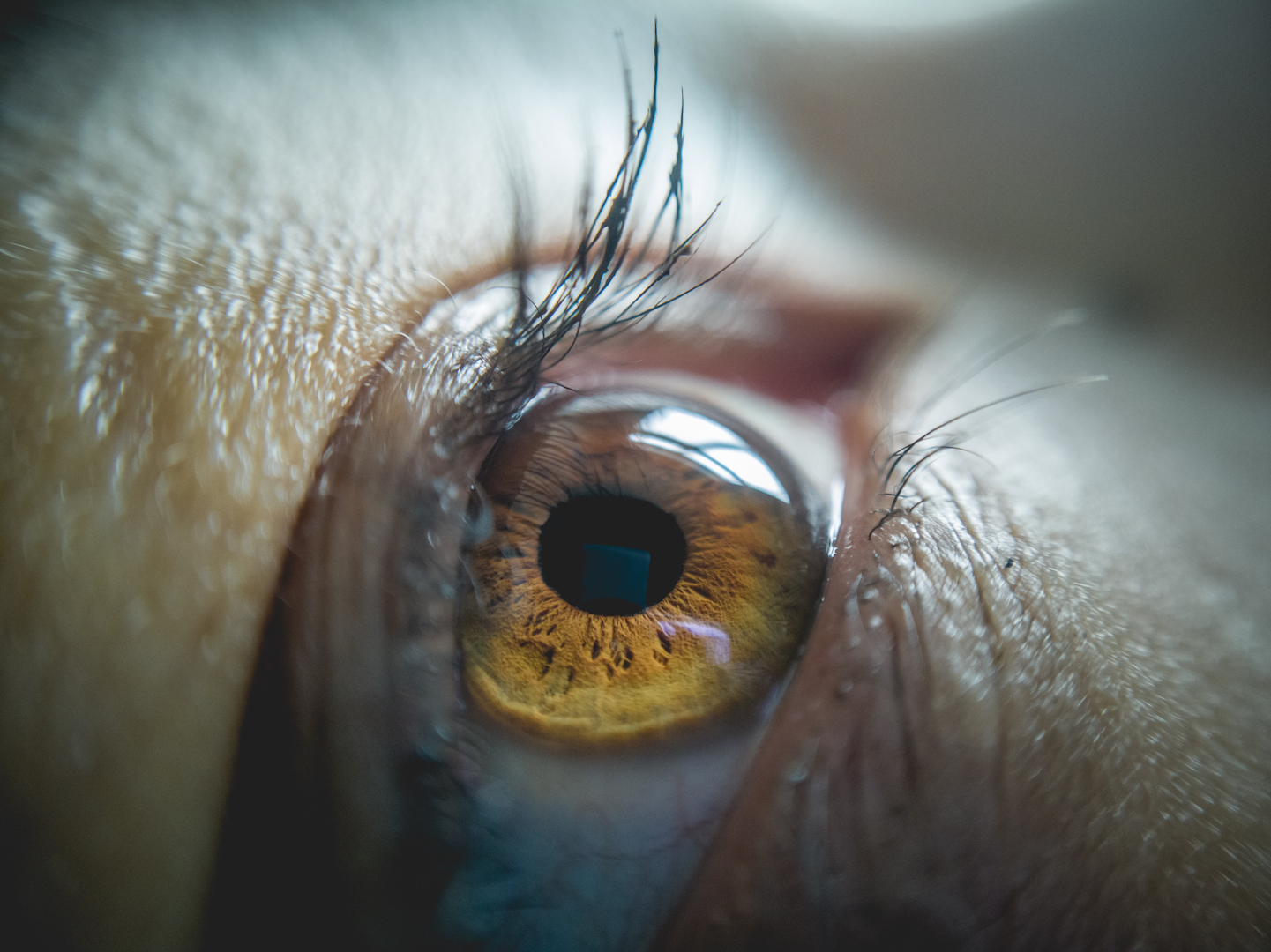 Eye Photography: How to Take Macro Pictures of Eyes?